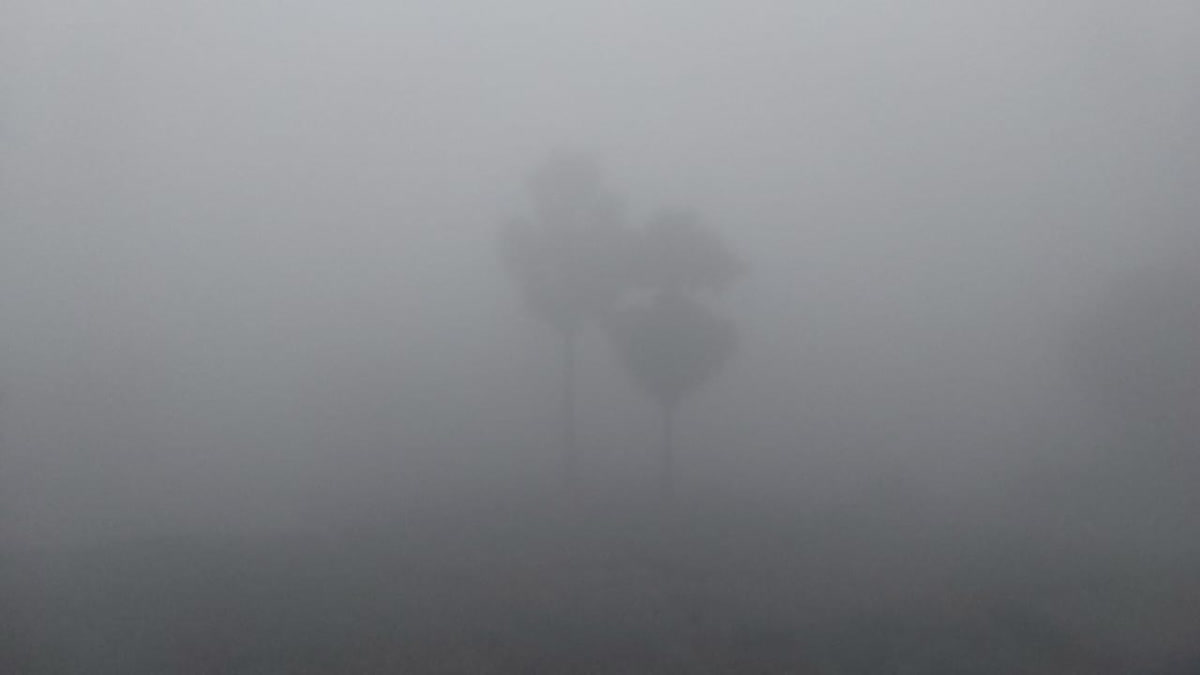 Dense Fog In Gaya
