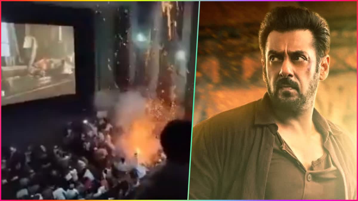 Salman Khan reacts to Tiger 3 firecrackers  Salman Khan reacts  Tiger 3 firecrackers incident  Salman Khan Tiger 3  Tiger 3  പടക്കം പൊട്ടിച്ചതില്‍ പ്രതികരിച്ച് സല്‍മാന്‍  പ്രതികരിച്ച് സല്‍മാന്‍ ഖാന്‍  തിയേറ്ററില്‍ പടക്കം പൊട്ടിച്ച സംഭവം  ടൈഗർ 3 പ്രദർശനത്തിനിടെ തിയേറ്ററില്‍ പടക്കം  Salman Khan Diwali release