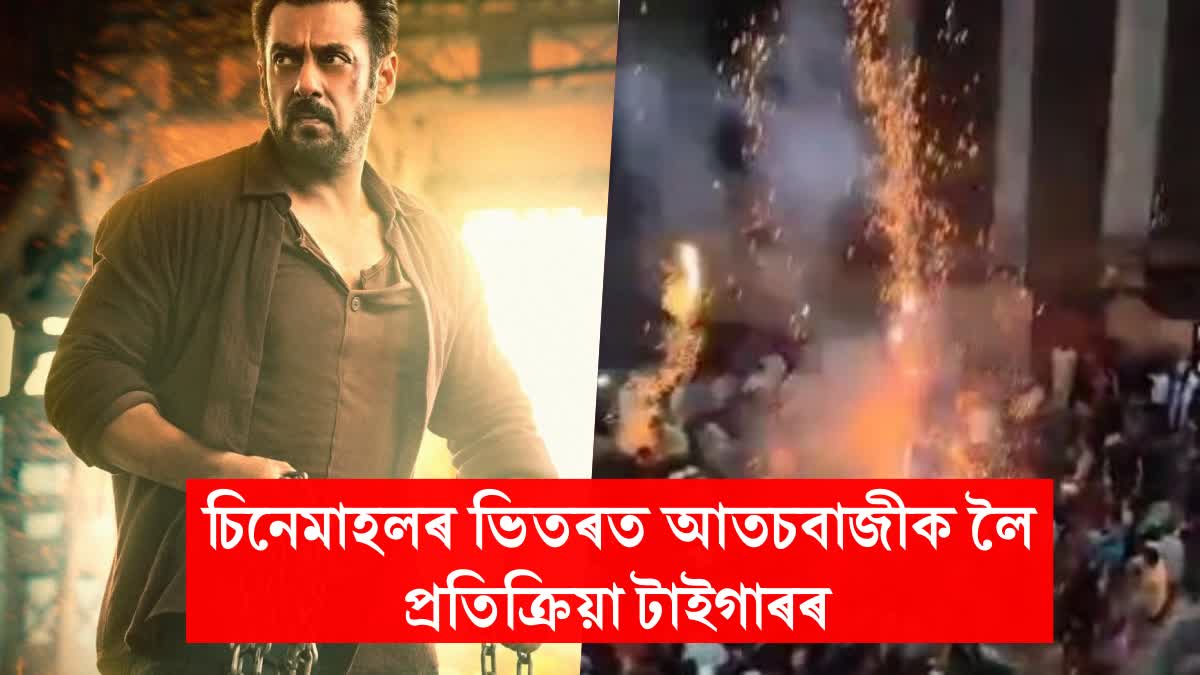 'This is dangerous', Salman Khan reacts on Fire Crackers in Theatre during Tiger 3