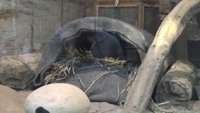 Dehradun Zoo Administration