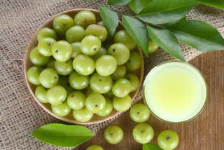 amla-gives-solution-for-winter-hair-problem