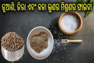 ଅନେକ ରୋଗ ପାଇଁ ରାମବାଣ ସଦୃଶ ଜୁଆଣି, ଜିରା ଏବଂ କଳା ଲୁଣର ମିଶ୍ରଣ