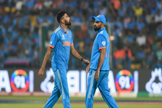 Mohammed Shami wicketless in India vs Netherland  Mohammed Shami  India vs Netherlands  Cricket World Cup 2023  Rohit Sharma  Virat Kohli  മുഹമ്മദ് ഷമി  ഇന്ത്യ vs നെതര്‍ലന്‍ഡ്‌സ്  ഏകദിന ലോകകപ്പ് 2023