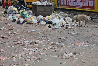 thousand three fifty tons of firecrackers garbage collected in coimbatore city
