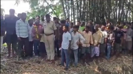 8-year-old-girl raped, murdered in Bihar's Begusarai