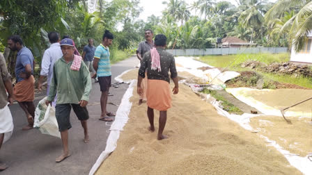 നെല്ല് സംഭരണം  കോട്ടയം നെല്ല് സംഭരണം പ്രശ്‌നം  കോട്ടയം നെൽകർഷകർ ദുരിതത്തിൽ  Kottayam Thiruvarpp paddy Farmers crisis solved  Kottayam Thiruvarpp Farmers crisis solved  Thiruvarpp Farmers crisis  Thiruvarpp Farmers issue  തിരുവാർപ്പ് നെൽകർഷകർ പ്രതിസന്ധി