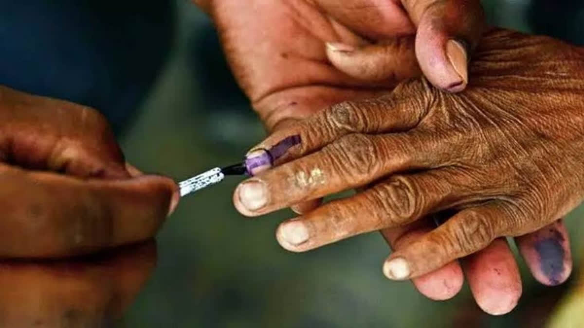 In the Wayanad Lok Sabha constituency, Congress's Priyanka Gandhi Vadra is making her electoral debut against  LDF's Satyan Mokeri and Navya Haridas of the BJP.