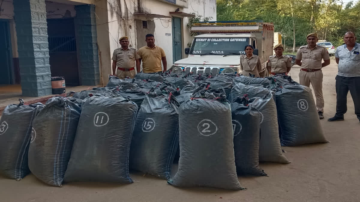 Chittorgarh Police seized dodachura