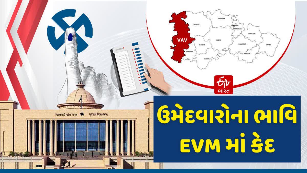 આજે તમામ ઉમેદવારોના ભાવિ EVM માં થયા કેદ