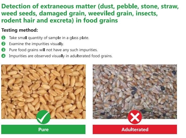 WHEAT FLOUR ADULTERATION TEST