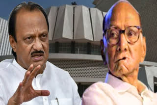 Sharad Pawar And Gautam Adani Meet