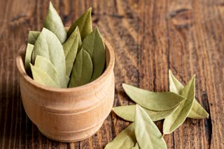 BAY LEAF HEALTH BENEFITS  HOW DOES BAY LEAF CONTROL DIABETES  കറുവപ്പട്ടയിലയുടെ ആരോഗ്യ ഗുണങ്ങൾ  WAYS TO PREVENT DIABETE