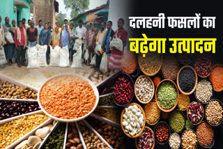 Promotion of pulses cultivation