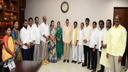 whips_meet_cm_chandrababu