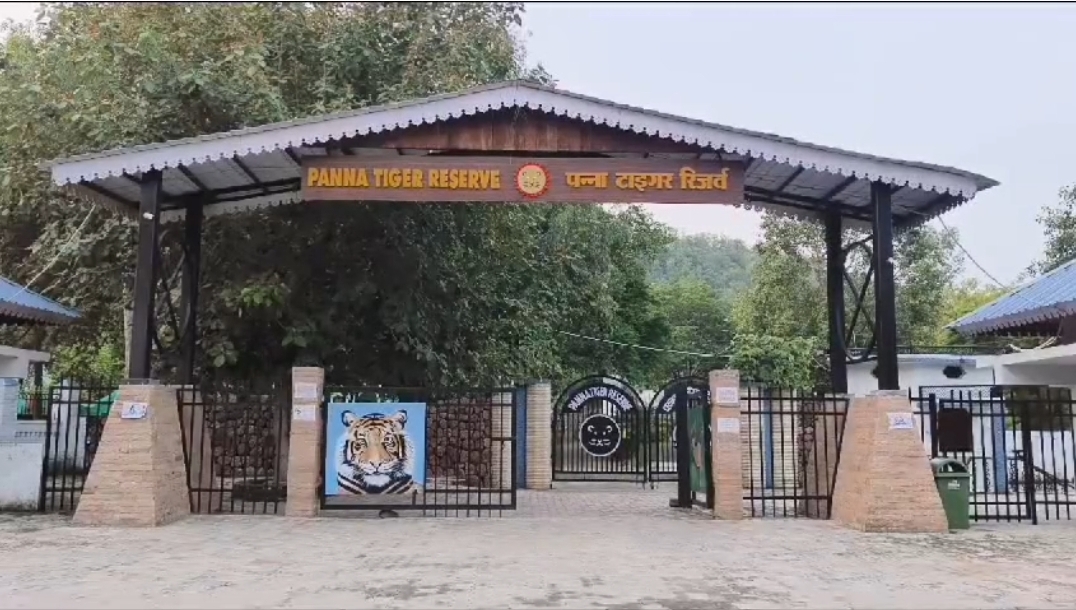 Panna tiger reserve pic