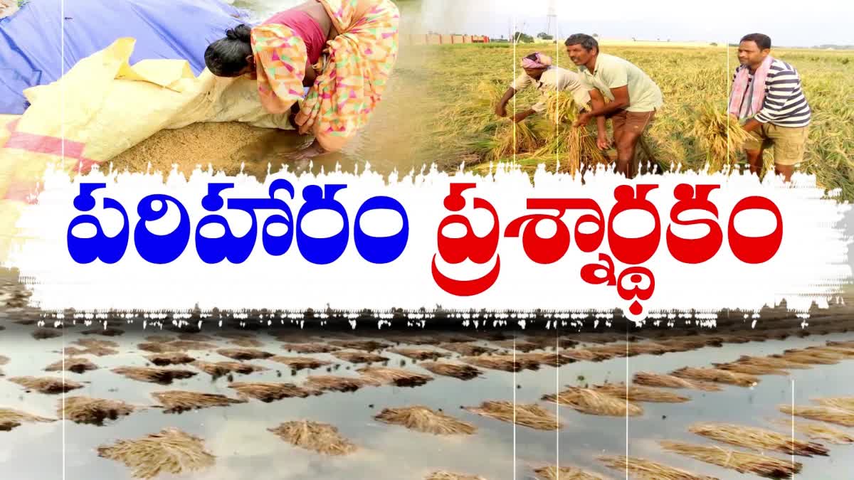 crop_loss_compensation_issue_in_krishna_district