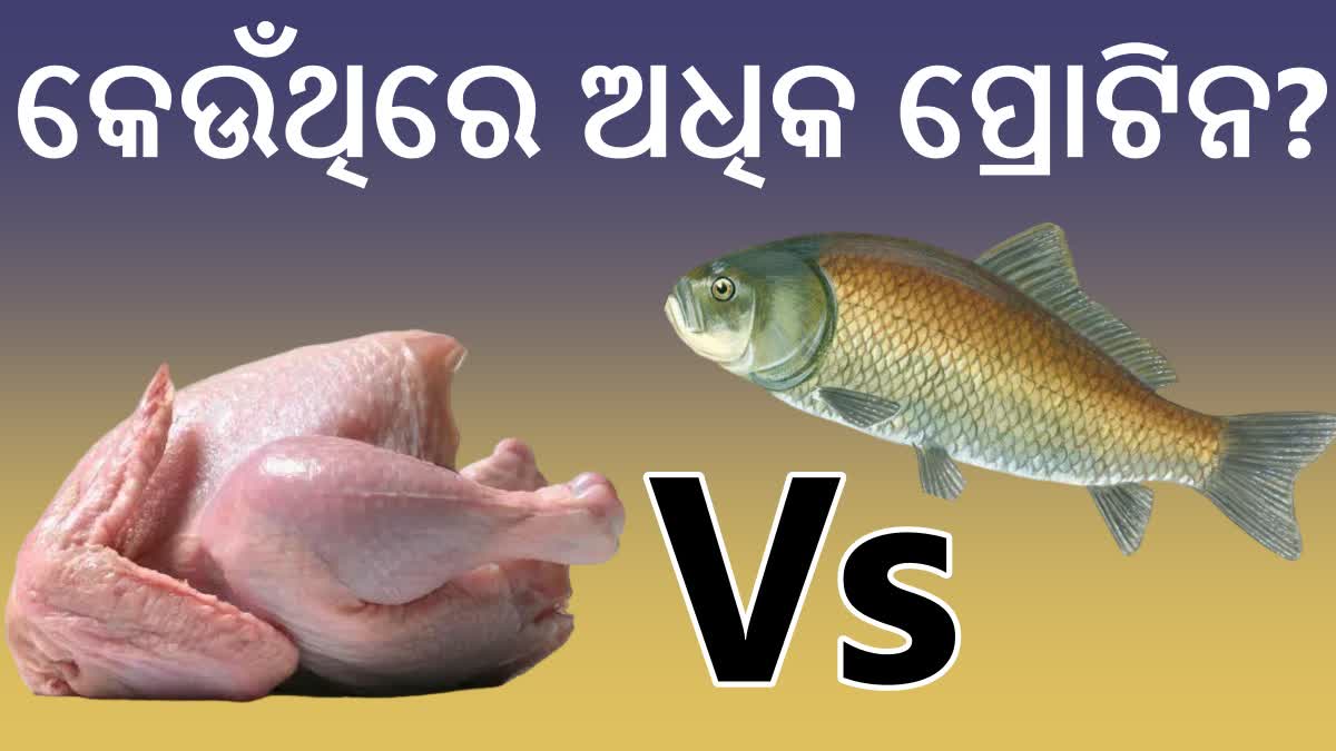 Fish Vs Chicken