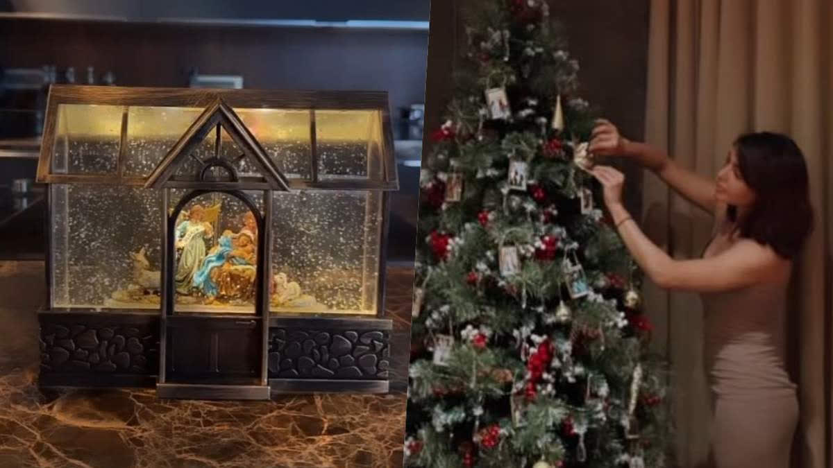 'Happy Holidays', says Samantha Ruth Prabhu as she kickstarts Christmas celebration much in advance, gives her home festive makeover