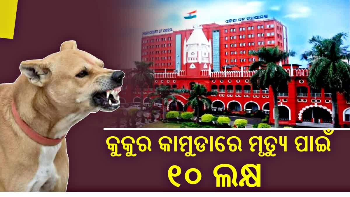 କୁକୁର କାମୁଡ଼ାରେ ମୃତ୍ୟୁ ଘଟଣାରେ ୧୦ ଲକ୍ଷ କ୍ଷତିପୂରଣ ନିର୍ଦ୍ଦେଶ