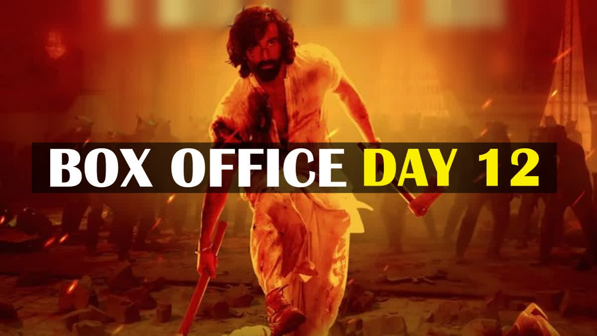 Animal box office collection day 12  Animal box office collection day 12 global  Animal worldwide box office collection day 12  Animal domestic box office collection day 12  Animal box office collection day 12 india  Ranbir kapoor  Ranbir Kapoor film animal  Animal film total collection  animal worldwide box office  animal box office  800 കോടിക്ക് അരികില്‍ ആനിമല്‍  ആനിമല്‍  രണ്‍ബീര്‍ കപൂര്‍ ചിത്രം പുതിയ കലക്ഷന്‍  ആനിമല്‍ കലക്ഷന്‍  രണ്‍ബീര്‍  Ranbir kapoor latest movies  Animal earns Rs 757 crore globally  Animal global collection  രണ്‍ബീര്‍ കപൂര്‍ ചിത്രം  Sandeep Reddy Vanga s latest film Animal  Animal 12 day collection  Animal Total Collection in India  Meghna Gulzar s biopic Sam Bahadur