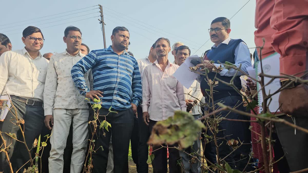 Inspection Of Damaged Crops,