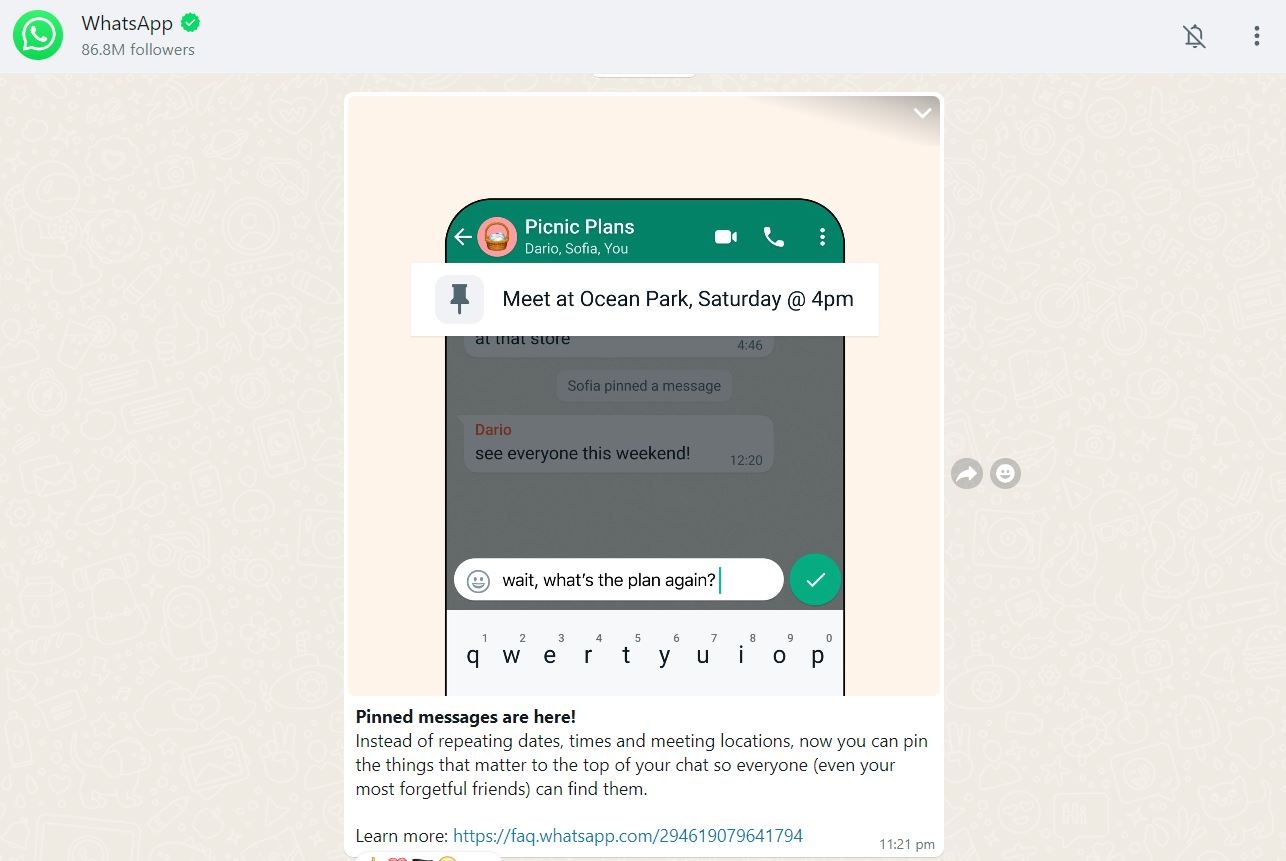 WhatsApp Pin Feature
