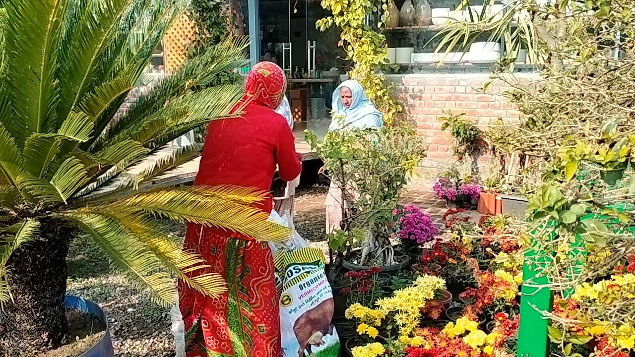 Botanica Nursery famous in world