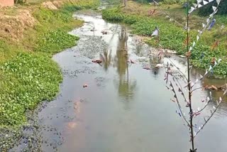 hansua river cleanness