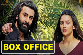 Animal Box office collection