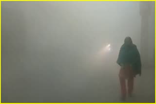 Haryana Weather Update Fog Alert in Haryana