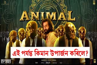 Ranbir kapoors film Animal Box Office Collection Day 12