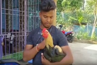 One hen costs 30k in balasore