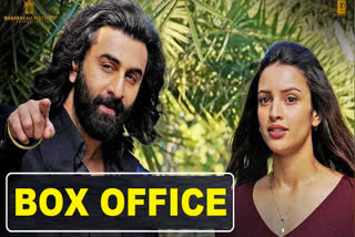 Animal Box Office Collection Day 13