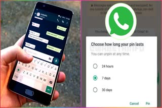WhatsApp allows to pin messages in individual, group chats WhatsApp new feature