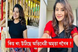 Actress Amrita Gogoi reacted to the trolls on social media over her sister-in-law's video
