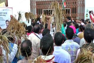 district congress committee protest