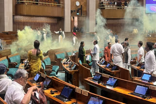 Security breach in Lok Sabha on Parliament attack anniversary, 2 held