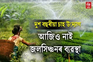irrigation in Assams tea garden