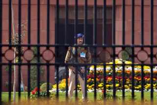 Experts on intruders entering Parliament