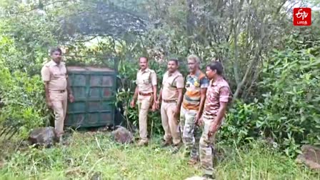 கால்நடைகளை வேட்டையாடும் சிறுத்தையை பிடிக்க கூண்டமைத்த வனத்துறையினர்