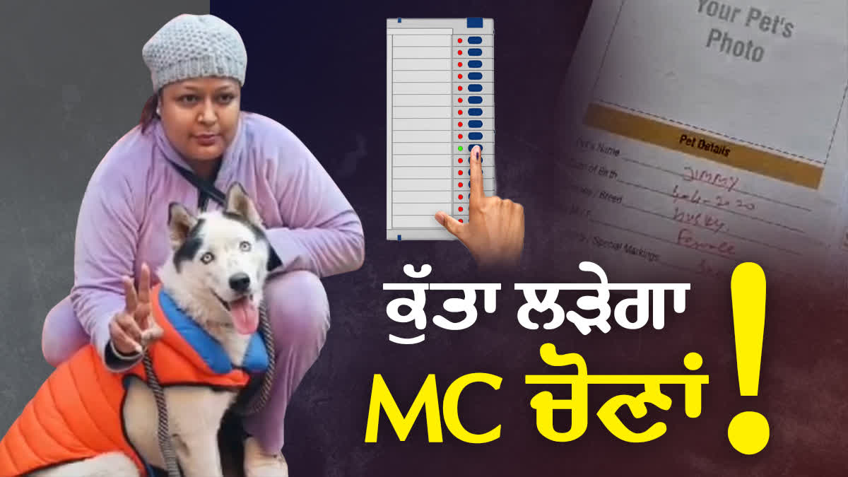 Dog Jimmy Candidate For MC Elections Amritsar