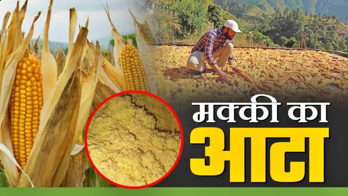 HIMACHAL NATURAL FARMING PRODUCT