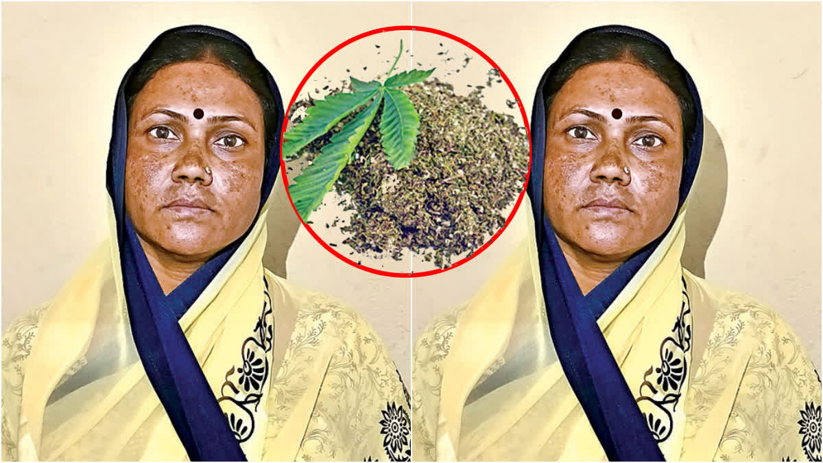 Dhoolpet Woman Ganja Peddler Arrest