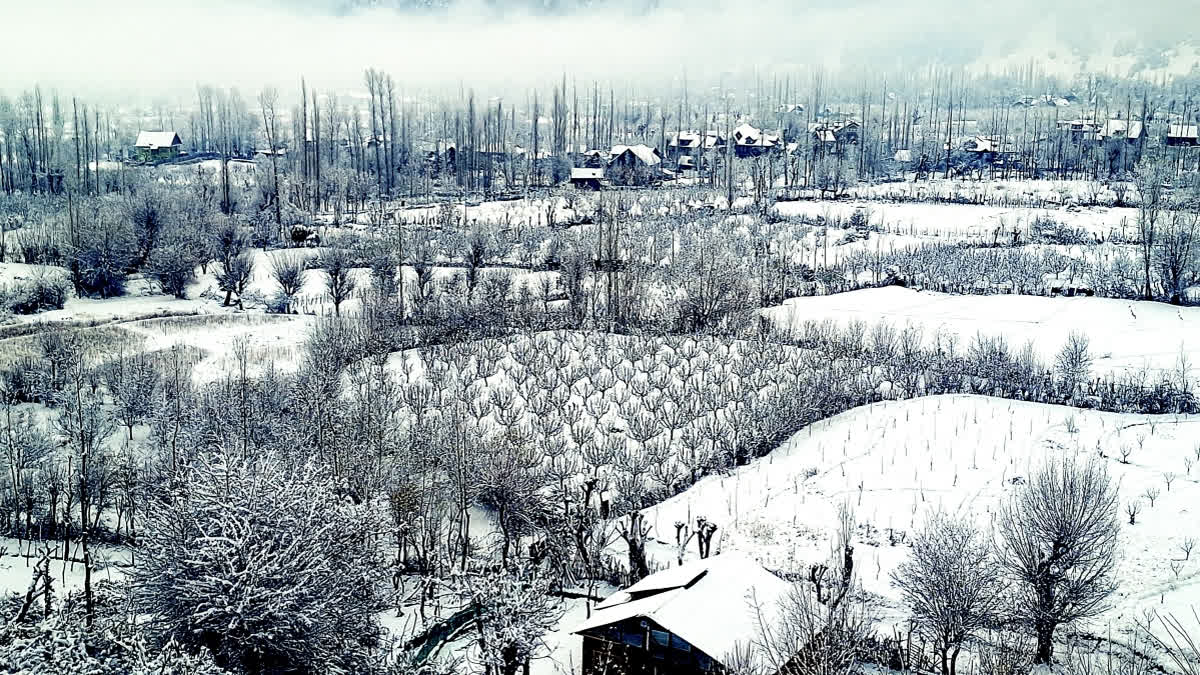 Isolated Cold Wave To Continue In Jammu And Kashmir Till December 16