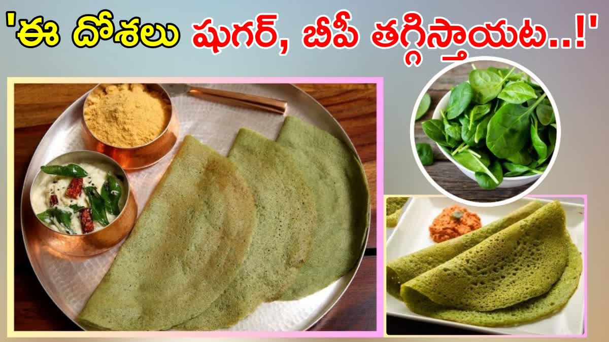 Spinach Broccoli Dosa Recipe