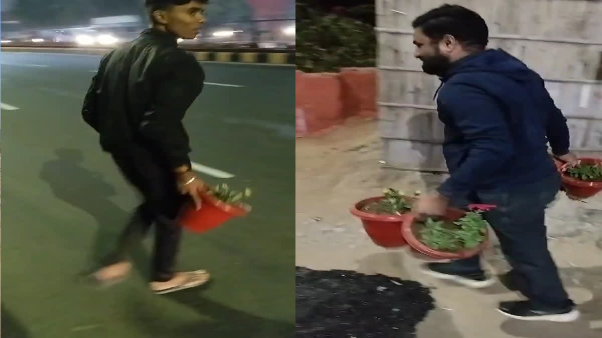 Flower Pots stolen in Jaipur