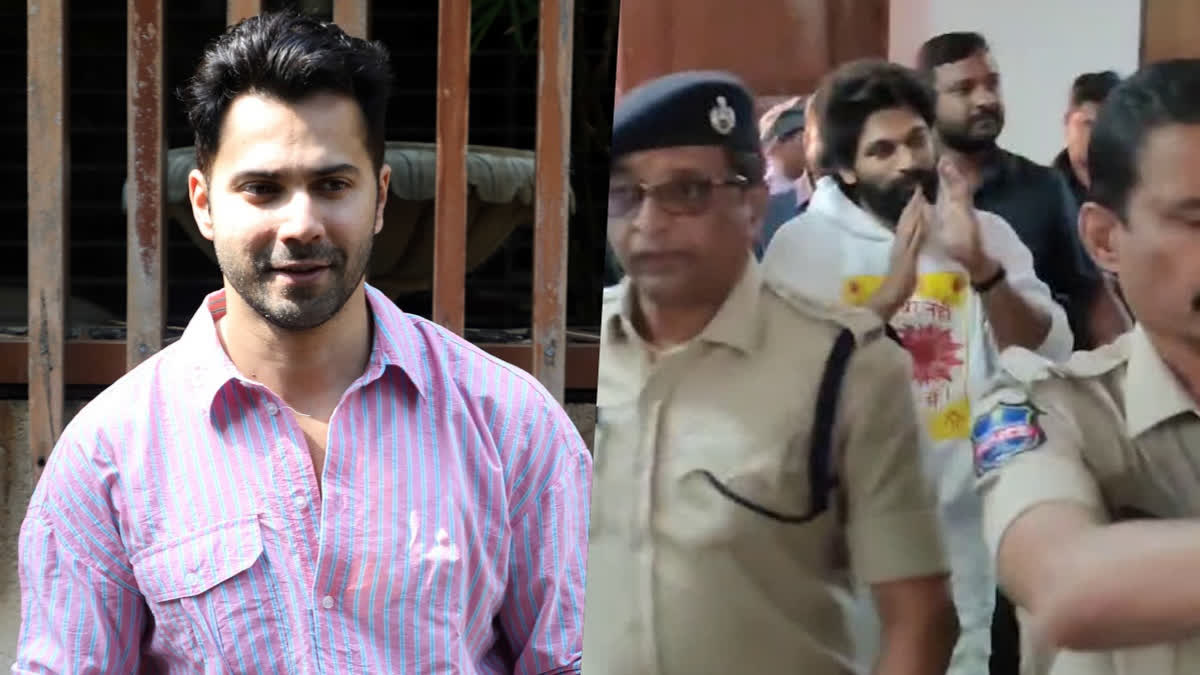 Varun Dhawan Slams Blame on Allu Arjun in Pushpa 2 Stampede Incident