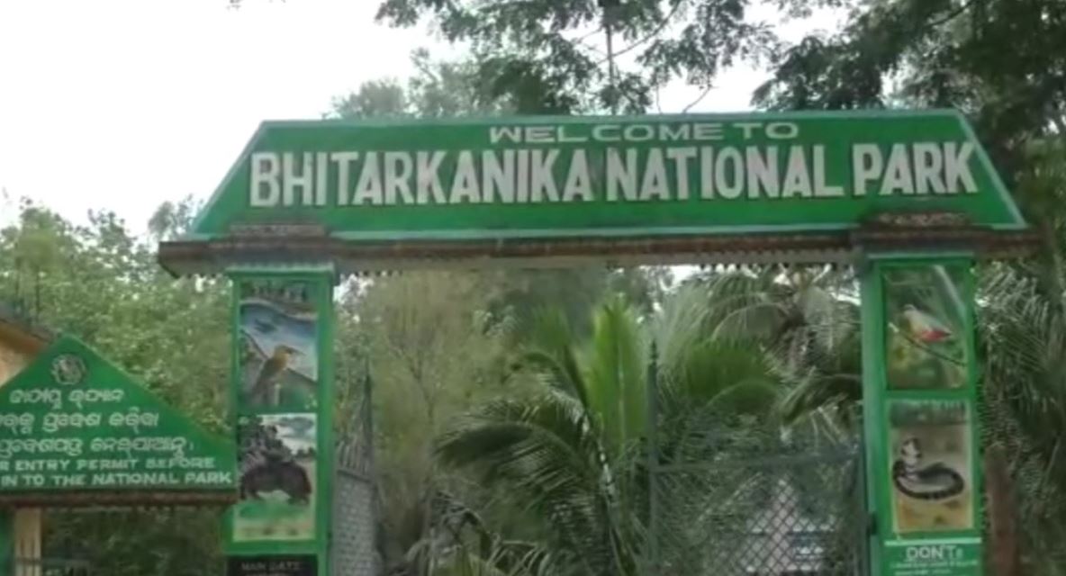 Bhitarakanika Mangrove Forest