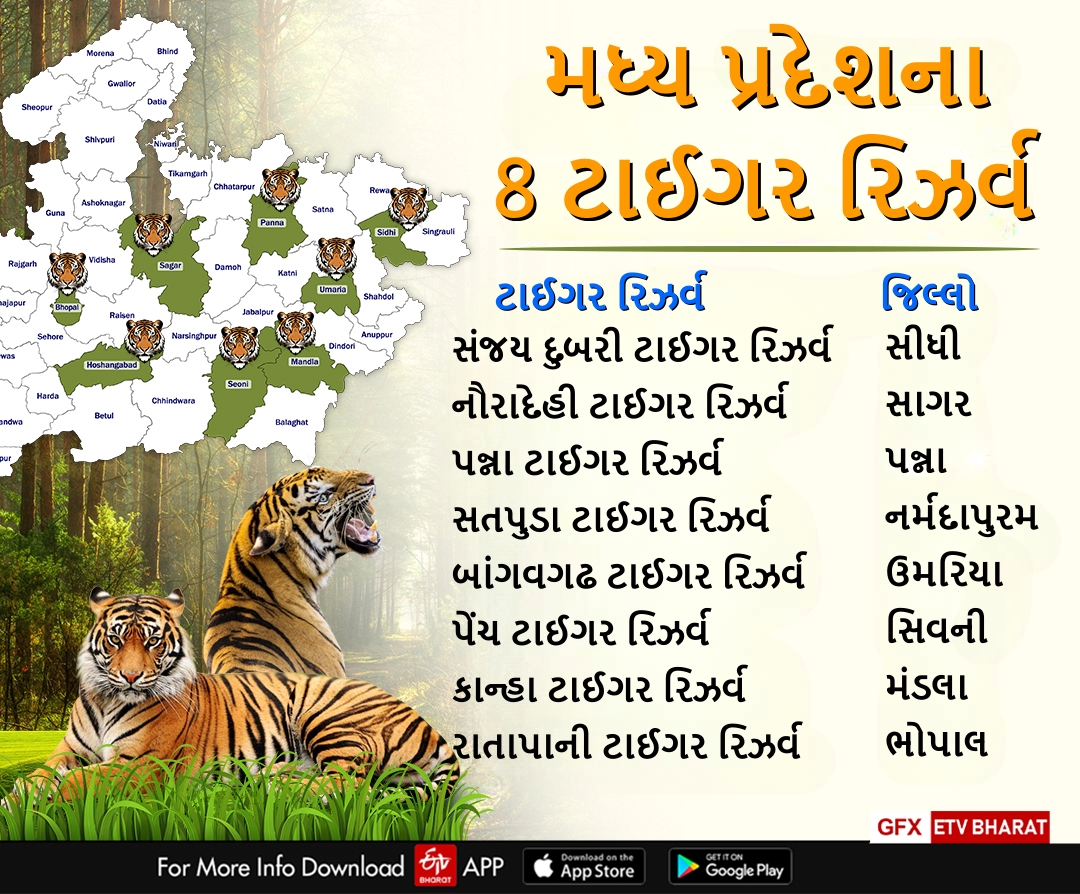 મધ્ય પ્રદેશના ટાઈગર રિઝર્વ