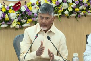 CM At Collectors Conference